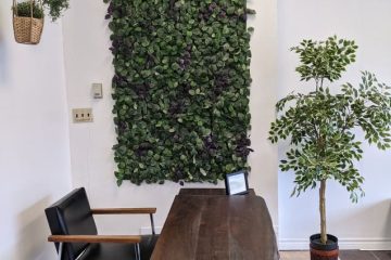 Office Area - Speech Language Pathology